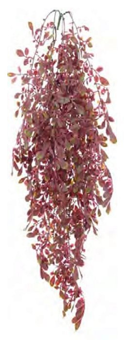Planta Artificial Pendentes Folha C/Powder Verde Vermelho 90cm