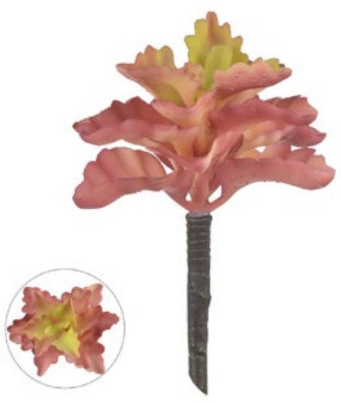 Planta Artificial Suculenta Vermelho Verde 17cm