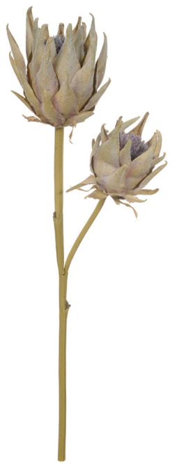Haste Protea Eva X2 Cha Outono 64cm