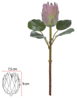 Haste Protea Frosted C/Coat Rosa 50cm