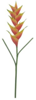 Haste Heliconia Rel Toque Laranja 1,23cm