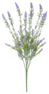 Buquê Lavanda C/Powder PLT X36 Lavanda 50cm
