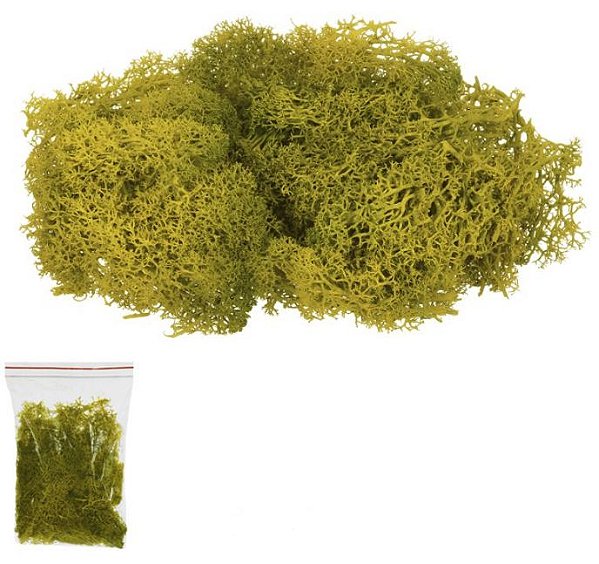 Folhagem Musgo Moss Real Toque C/50G Verde Oliveira 17cm