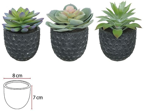Folhagem Suculenta Sortidas C/Vaso C/3 Uni Verde 10cm
