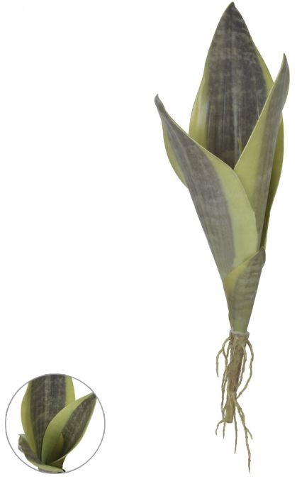 Folhagem Espada São Jorge X4 Verde 2T 36cm