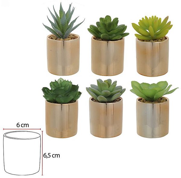 Folhagem Suculenta Sortidas C/Vaso C/6 Uni Verde 10cm