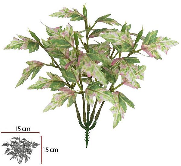 Folhagem Figueira Pick Forração X15 Verde Rosa 16cm