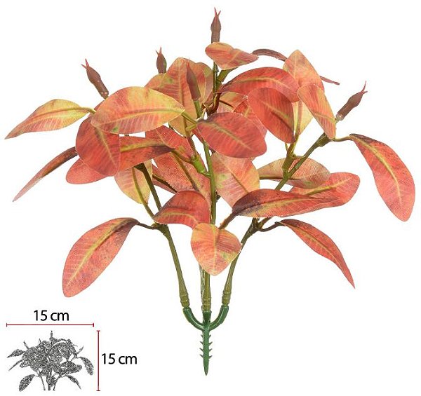 Folhagem Fittonia Pick Forração X15 Vermelho Outono 16cm
