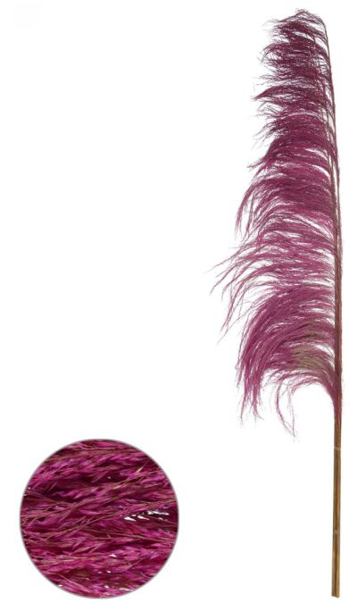 Planta Artificial Pluma Pendao Canabrava Com 3 Hastes Desidratado Fucsia 150cm