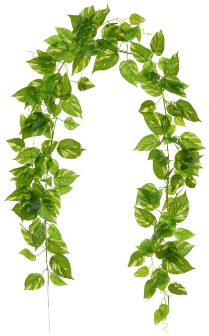 Planta Artificial Folhagem Jiboia Guirlanda Real Toque X155 Verde Creme 1,85m