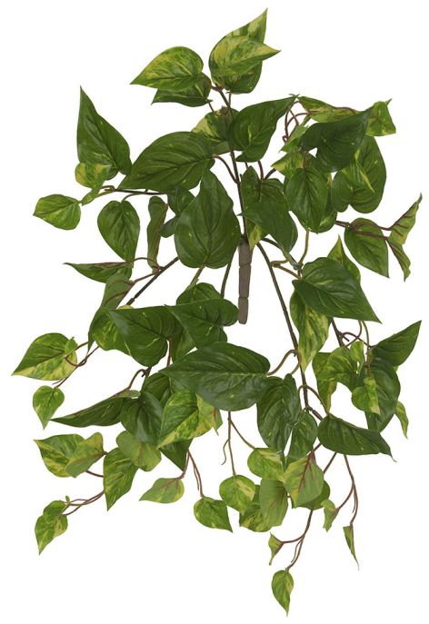 Planta Artificial Folhagem Jiboia Real Toque C/UV X78 Verde Amarelo  50cm