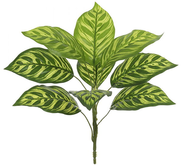 Planta Artificial Folhagem Calathea Forracao Real Toque X9 Verde 2T 40cm