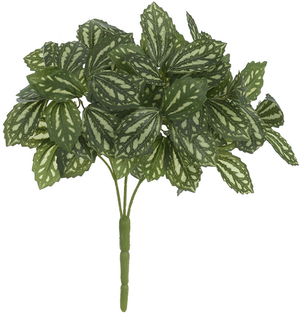 Folhagem Melancia Forracao X81 Verde Creme 28cm
