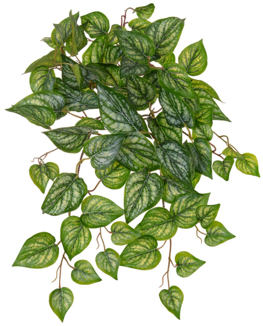 Folhagem Argreia Pendurar Real Toque C/UV X78 Verde 50cm
