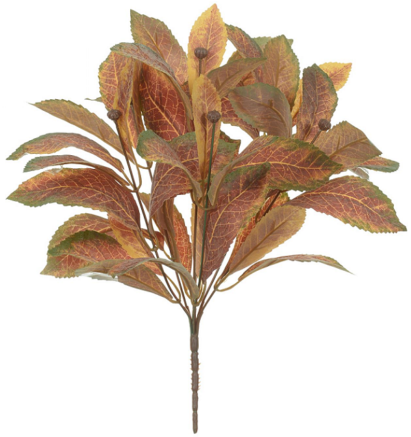 Folhagem Croton Forração C/Frosted X44 Laranja 35cm