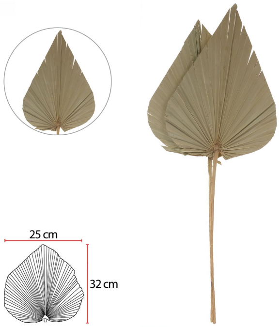 Planta Artificial Folha Leque Desidratado C/Embalagem C/2 Unid Palha 70cm