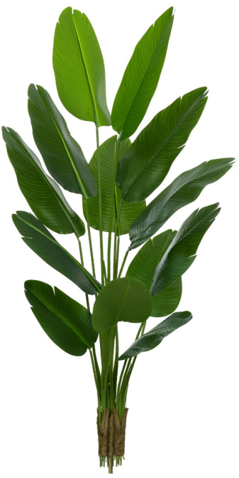 Planta Árvore Artificial Bananeira de Jardim Real Toque X13 Verde 1,80m