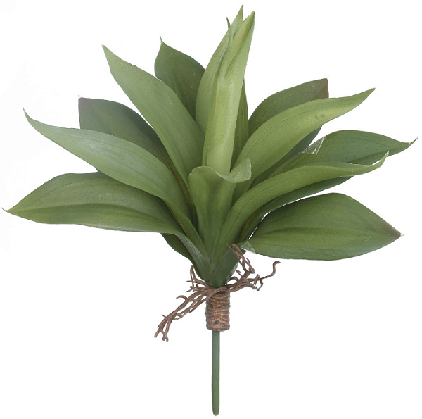 Planta Artificial Folhagem Suculenta Agave C/Raiz X13 Verde  24cm