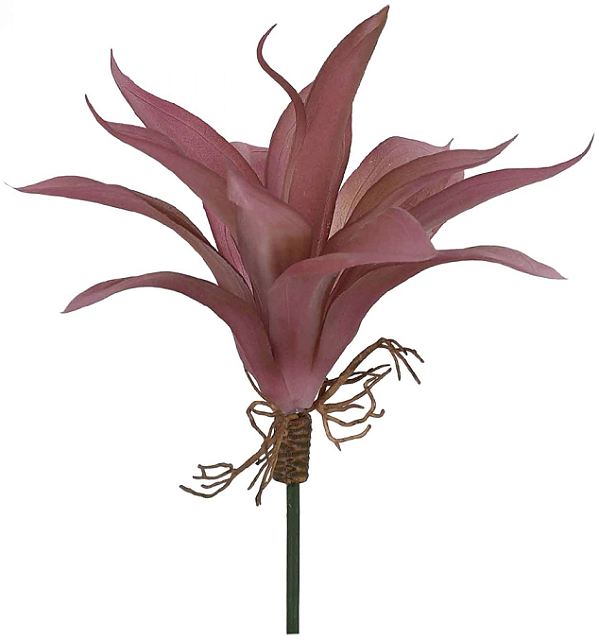 Planta Artificial Folhagem Suculenta  Agave C/Raiz X13 Vermelho Outono 24cm