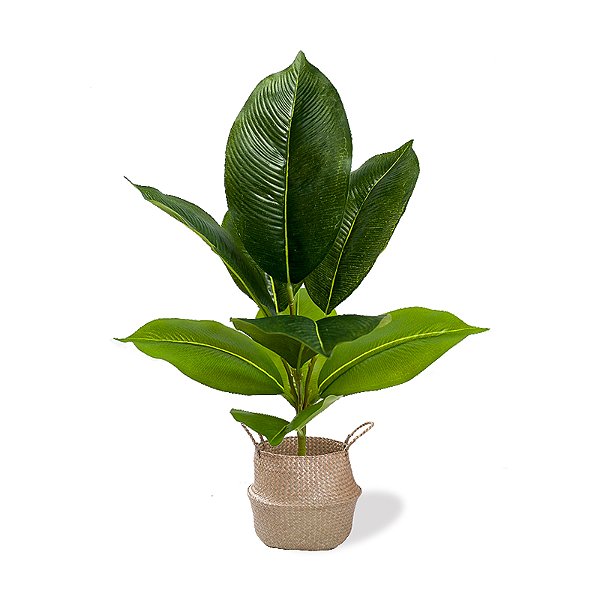 Planta Artificial Ficus 43cm 9 Folhas Diversos Modelos