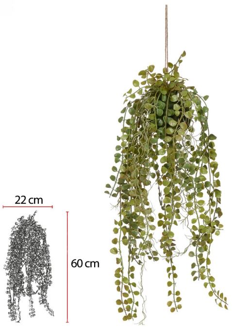 Planta Artificial Folhagem Kokedama Dischidia Pendurar C/Print X36 Verde 1,06cm