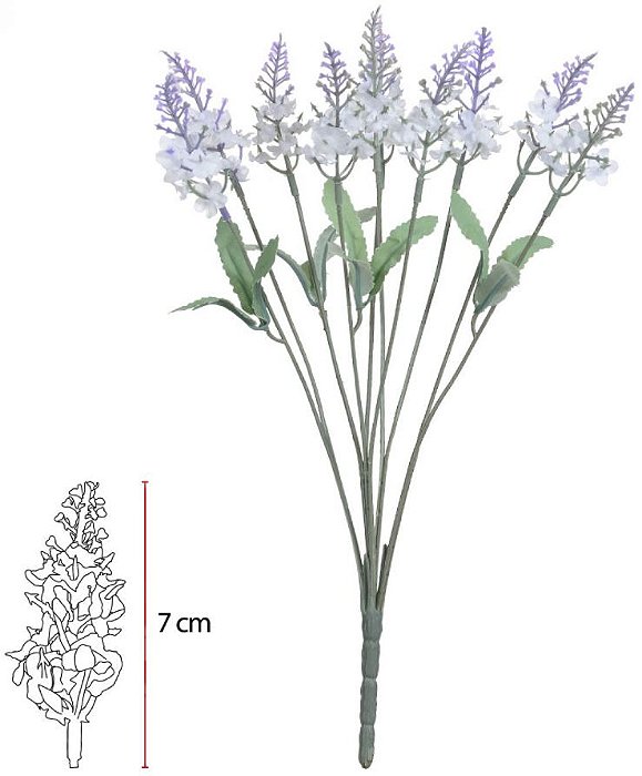 Buque Lavanda X10 Creme 33cm