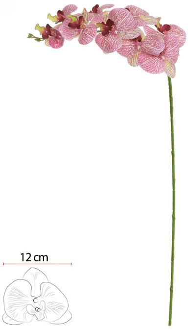 Haste Orquidea Phalaenopsis Real Toque X9 Creme Rosa 96cm