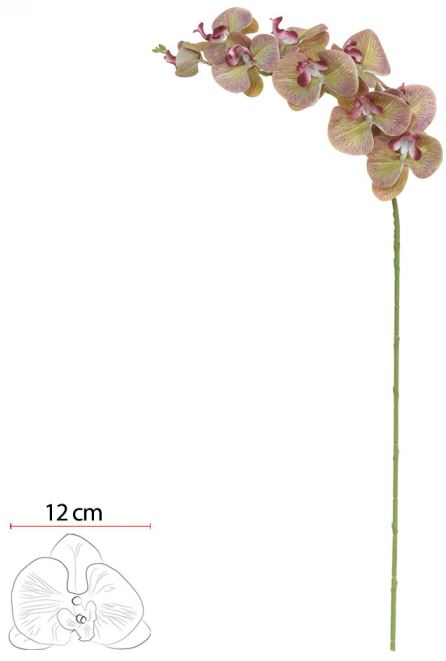 Haste Orquidea Phalaenopsis Real Toque X9 Menta Beauty 96cm