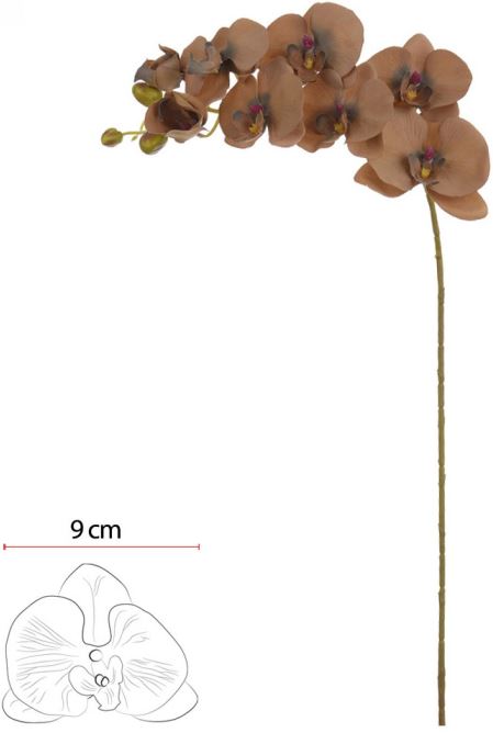 Haste Orquidea Phalaenopsis C/Coat Microp. X8 Chocolate 80cm