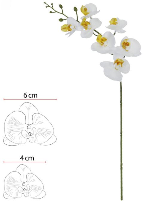 Haste Orquidea Phalaenopsis Real Toque X7 Branco 53cm