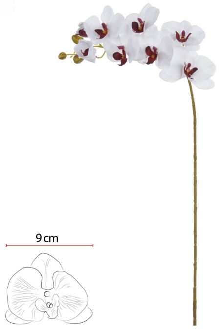 Haste Orquidea Phalaenopsis C/Coat Microp. X8 Branco Beauty 80cm