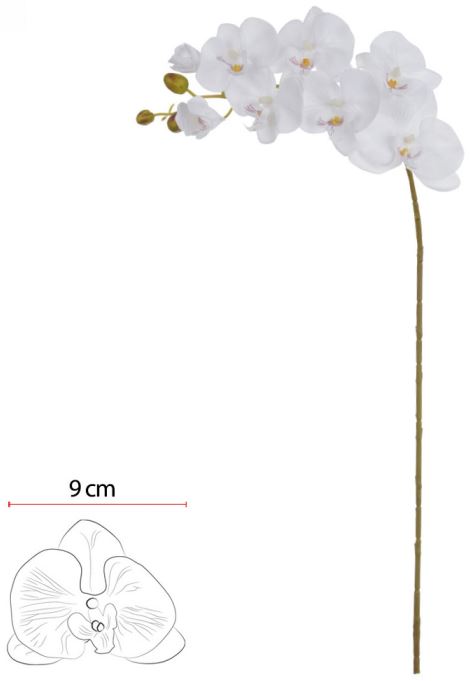 Haste Orquidea Phalaenopsis C/Coat Microp. X8 Branco Puro 80cm