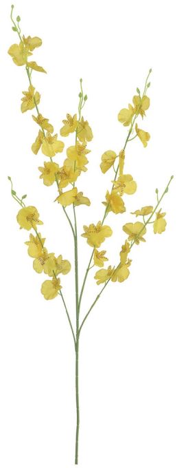 Haste Orquidea Dacante X40 Amarelo 93cm