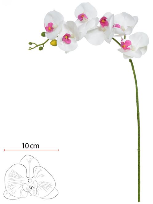 Haste Orquidea Phalaenopsis Real Toque X6 Branco Beauty 82cm