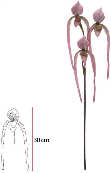 Haste Orquidea Sapatinho Real Toque C/Coat X3 Beauty 78cm