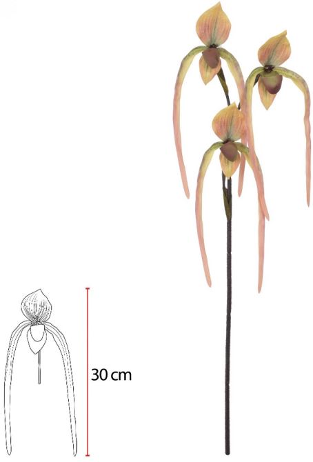 Haste Orquidea Sapatinho Real Toque C/Coat X3 Laranja 78cm