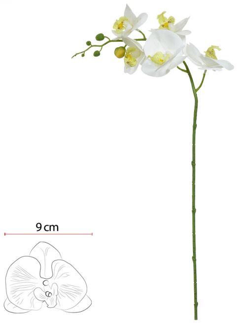 Haste Orquidea Phalaenopsis Real Toque X5 Branco Verde 65cm
