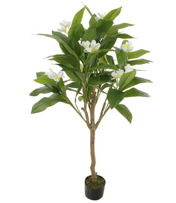Planta Artificial Arvore Plumeria Real Toque C/Pote X10 Branco 1,20cm
