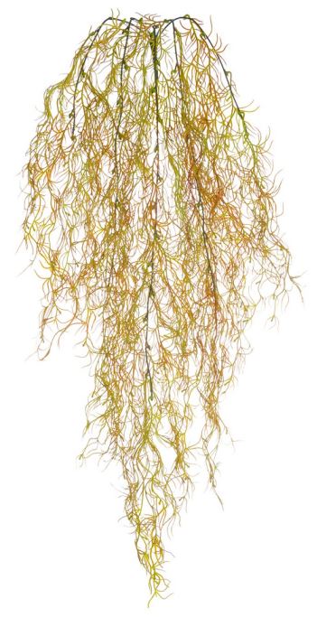 Planta Artificial Folhagem Grass Pendurar C/Print X45 Verde Outono 93cm