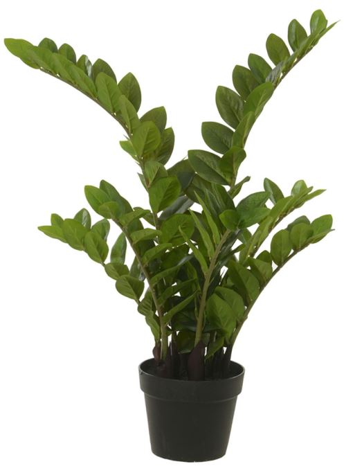 Planta Artificial Arvore Zamioculca Real Toque C/Pote X132 Verde 75cm