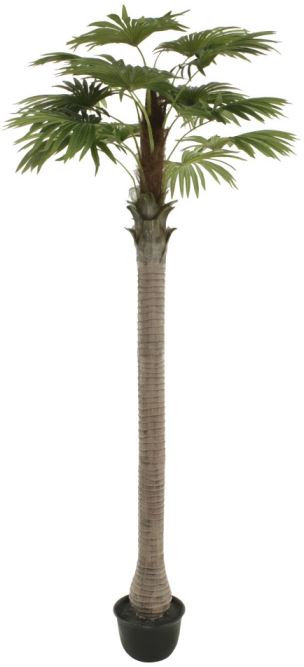 Planta Artificial Arvore Palmeira Leque C/Pote X15 Verde 3,2cm