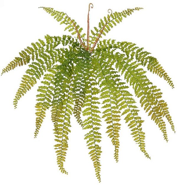 Planta Artificial Folhagem Samambaia C/Print X14 Verde Outono 69cm