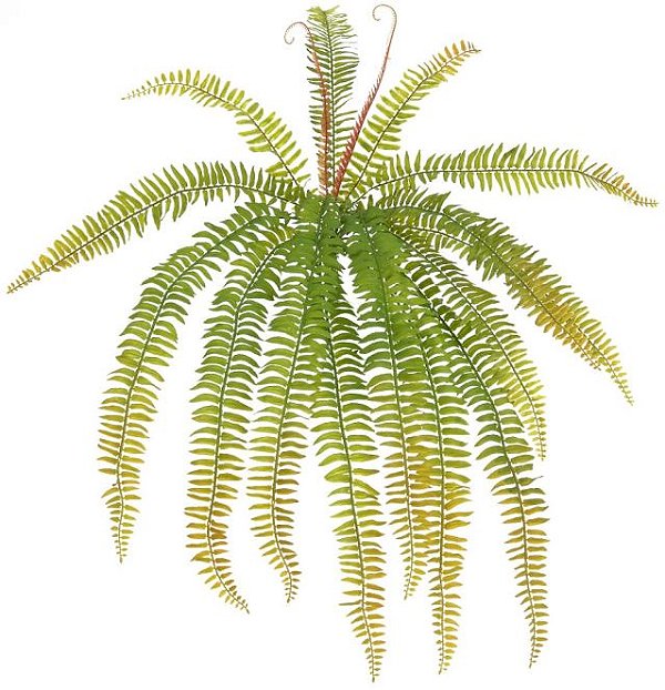 Planta Artificial Folhagem Samambaia C/Print X15 Verde Outono 70cm