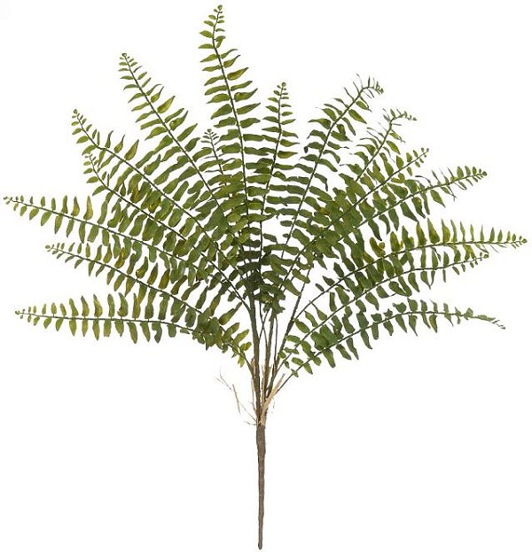 Planta Artificial Folhagem Samambaia C/Print X16 Verde 70cm