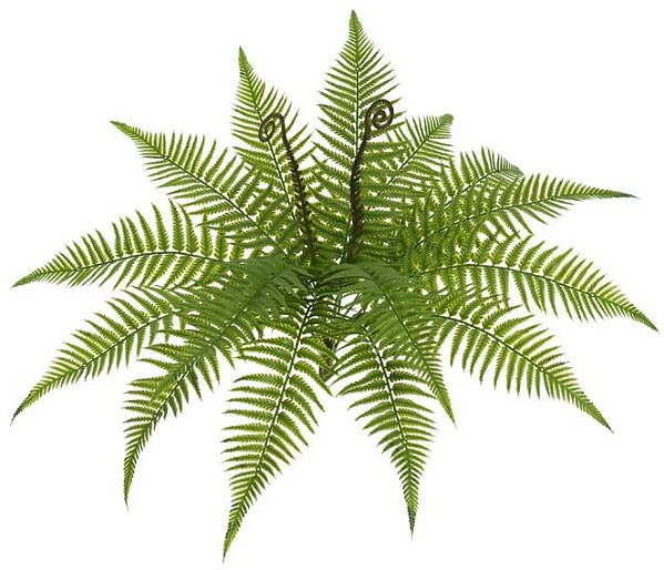 Planta Artificial Folhagem Samambaia C/Print X17 Verde 41cm