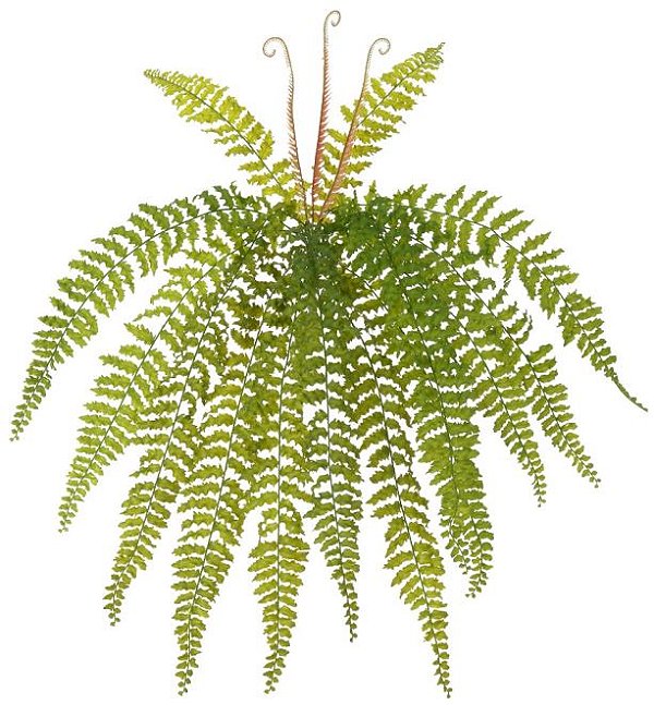 Planta Artificial Folhagem Samambaia C/Print Plastico X14 Verde 69cm