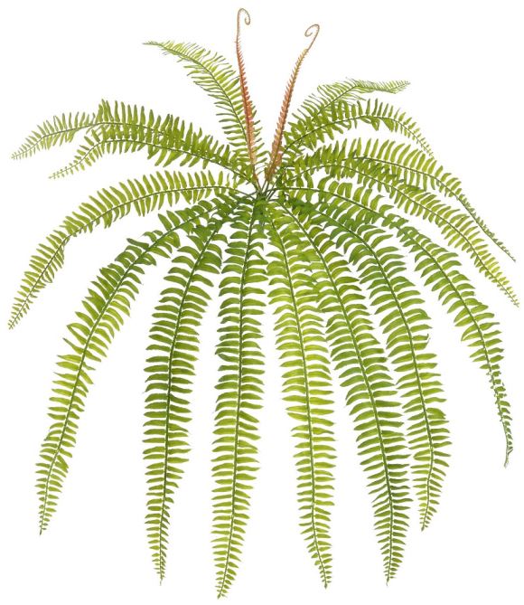 Planta Artificial Folhagem Samambaia C/Print X15 Verde 70cm