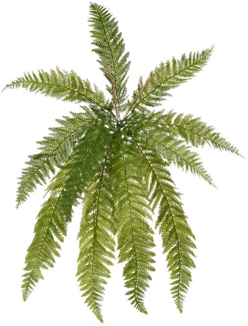 Planta Artificial Folhagem Samambaia C/Print X11 Verde 76cm