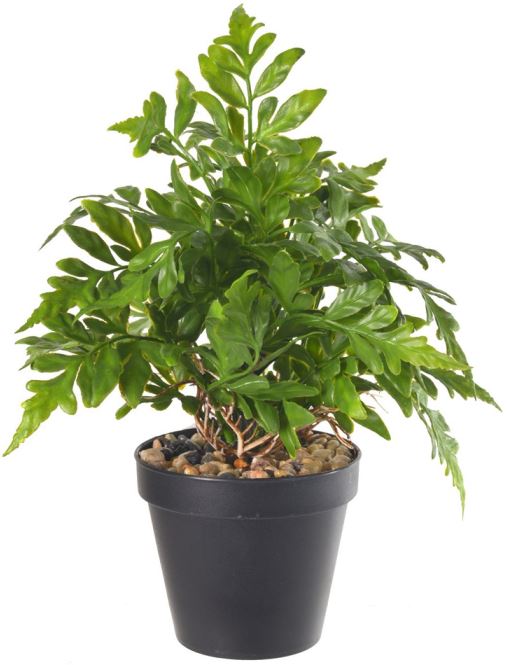 Planta Artificial Folhagem Samambaia C/Pote Plastico X22 Verde 22cm