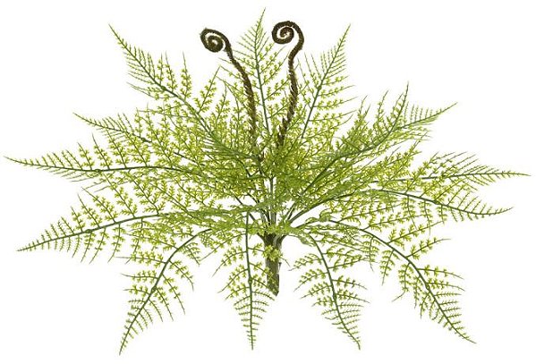 Planta Artificial Folhagem Samambaia C/Print X17 Verde 37cm